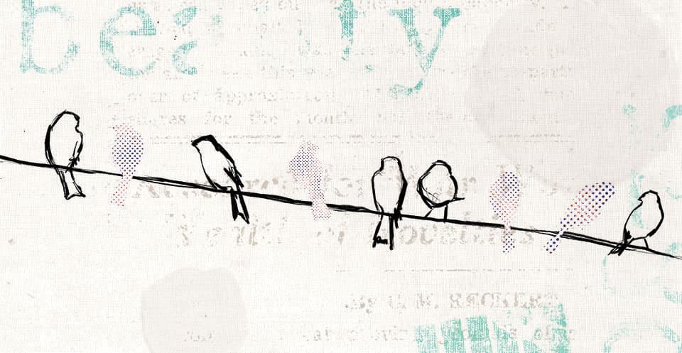 Urban Birdies illustration with layered geometric bird forms